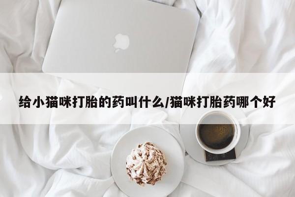 药流药在线购买给小猫咪打胎的药叫什么/猫咪打胎药哪个好