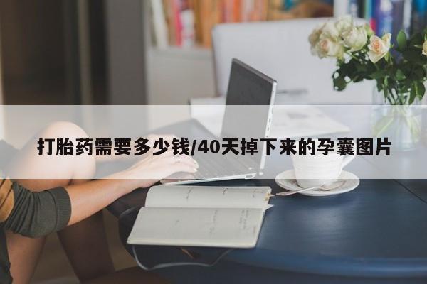 药流药在线购买打胎药需要多少钱/40天掉下来的孕囊图片
