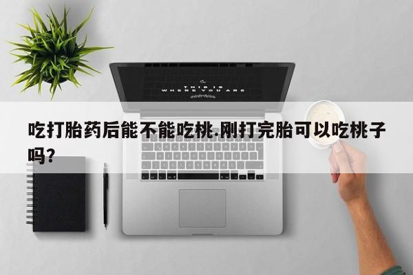药流药在线购买吃打胎药后能不能吃桃.刚打完胎可以吃桃子吗?